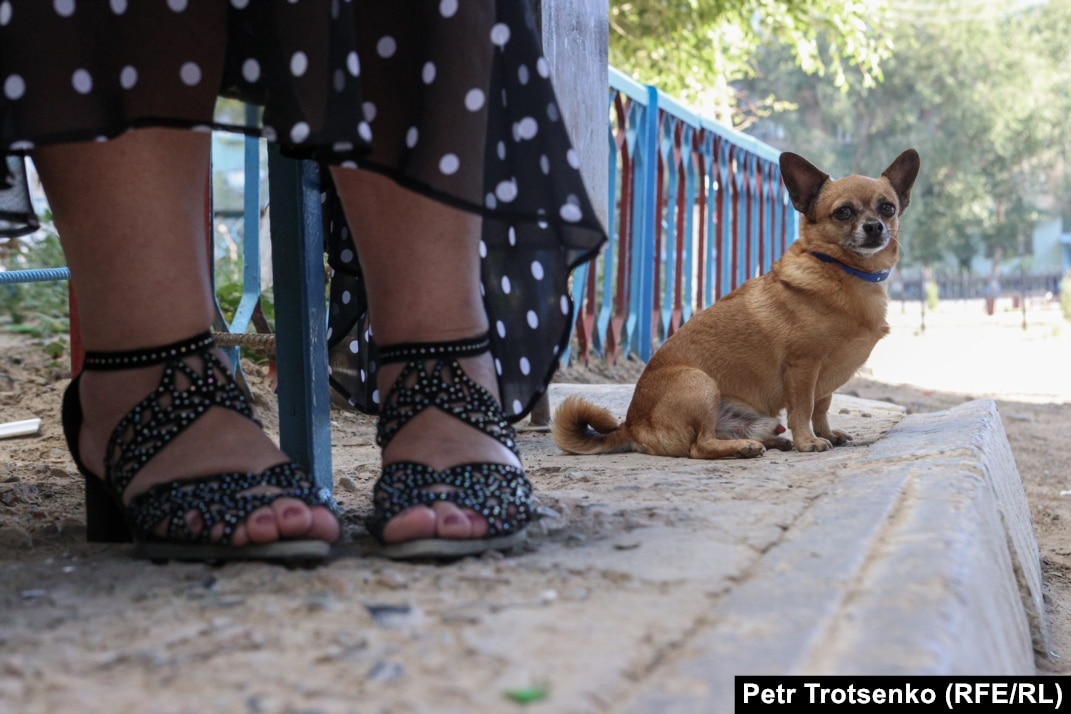 Қатты суреттер