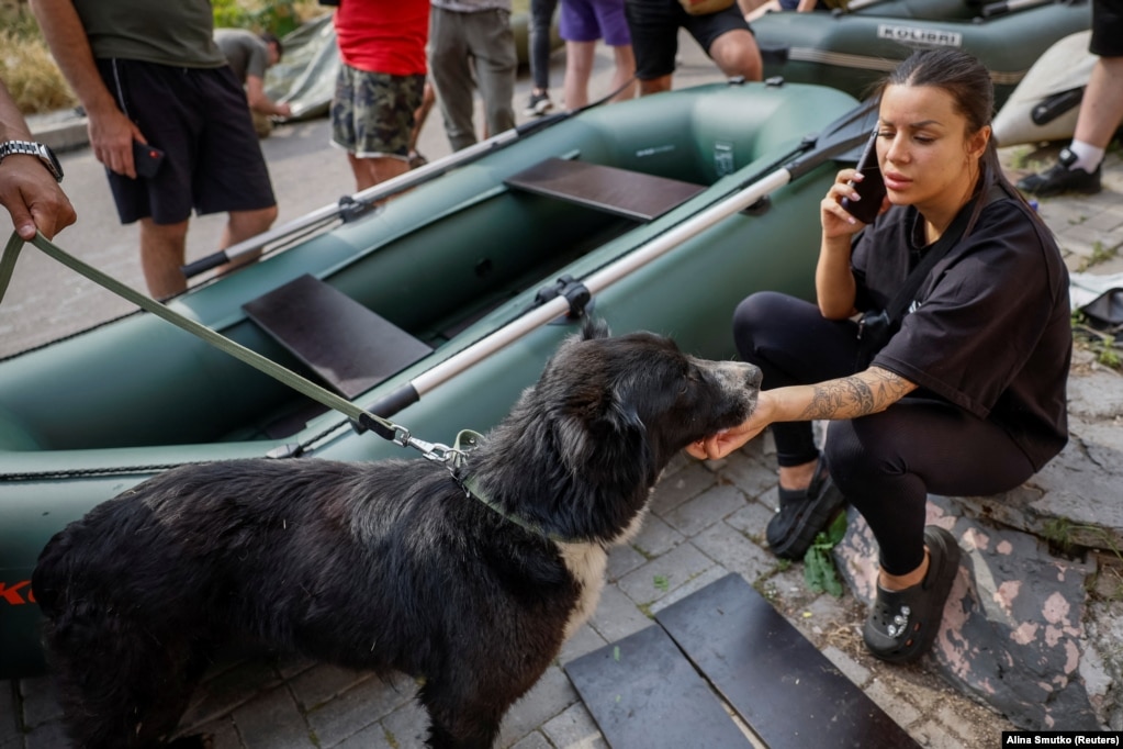 Волонтерка втішає собаку після того, як її врятували