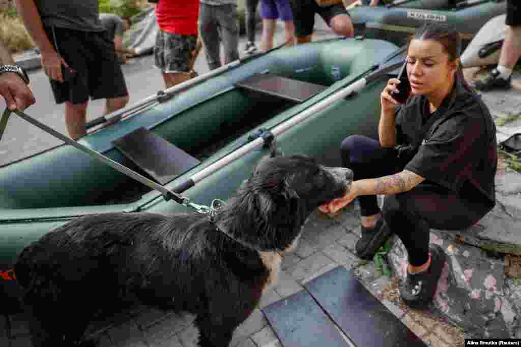 Волонтерка успокаивает собаку после спасения, Херсон, 7 июня.