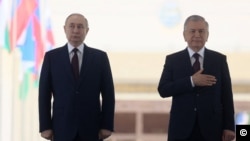 Vladimir Putin va Shavkat Mirziyoyev. Illyustrativ surat.