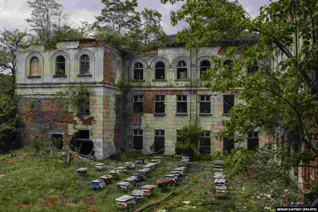 Beehives now fill the courtyard of a former school where students once played. &nbsp;