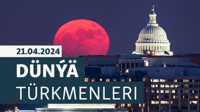 DT: ABŞ-da ýaşaýan owganystanly türkmen žurnalistiniň 'täze dünýädäki' durmuş tejribeleri