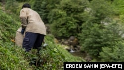 Иллюстративное фото