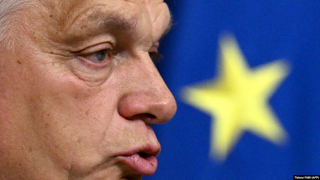 Criticii spun că sub conducerea lui Viktor Orban, Ungaria a devenit o problemă gravă pentru UE, pentru că refuză să se conformeze valorilor europene. Intrarea ei la președinția rotativă UE dă dureri de cap democraților liberali, care-și spun însă: „Trece și asta”. 