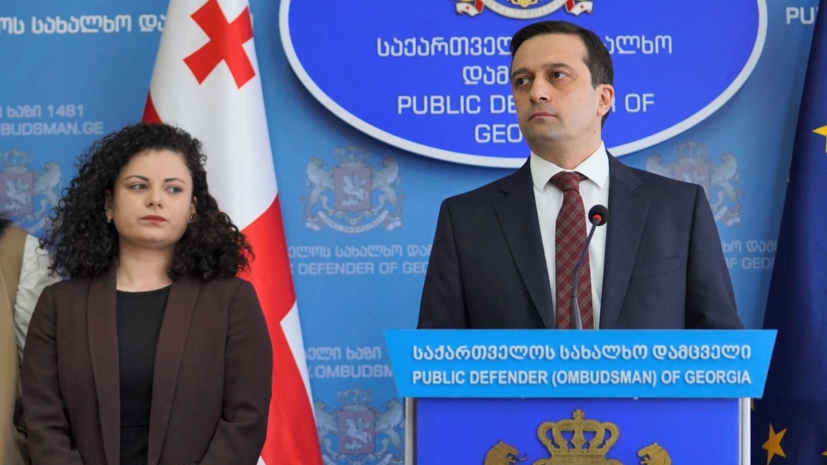 ომბუდსმენის ახალი მოადგილე ელისაშვილის დისშვილი და პარტიის შემწირველია