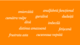 Unele dintre cuvintele folosite de o publicație online din Brașov pentru a scrie despre viceprimarul orașului și pe unul dintre consilierii locali.
