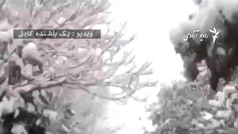 برفباری در کابل چهره شهر را عوض کرده است