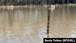 Самодельный измеритель уровня воды в селе Большая Малышка. Северо-Казахстанская область, 16 апреля 2024 года