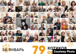 Фото на стене сообщества приюта "Муркоша" в соцсети "ВКонтакте"