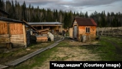 База отдыха в деревне Нововасильевка. Раньше здесь часто останавливались те, кто приезжал порыбачить. Фото: Алина Ковригина