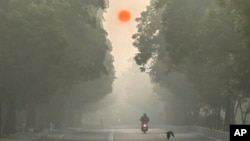 Утренний смог в Нью-Дели, декабрь 2023 года
