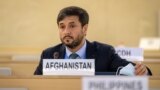 د ملګرو ملتونو د بشري حقونو په شورا کې د افغانستان استازی او په سويټزرلينډ کې افغان سفیر، نصیر اندیشه