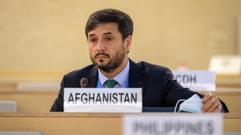 اندیشه: نړیوال دې افغانستان کې د بشري حقونو د نقض په اړه د خبرو پر ځای اقدام وکړي