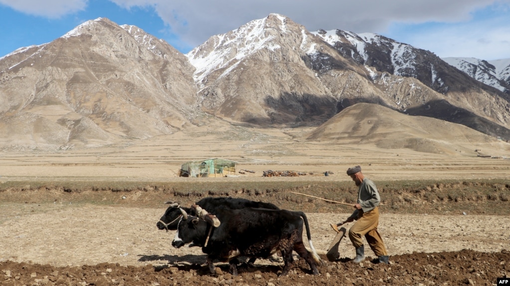 A farmer in Badakhshan. (file photo)