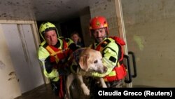 Vatrogasci evakuiraju psa iz poplavljene kuće, nakon što su jake kiše pogodile talijansku regiju Emilia Romagna, u Faenzi, Italija, 18. maja 2023.