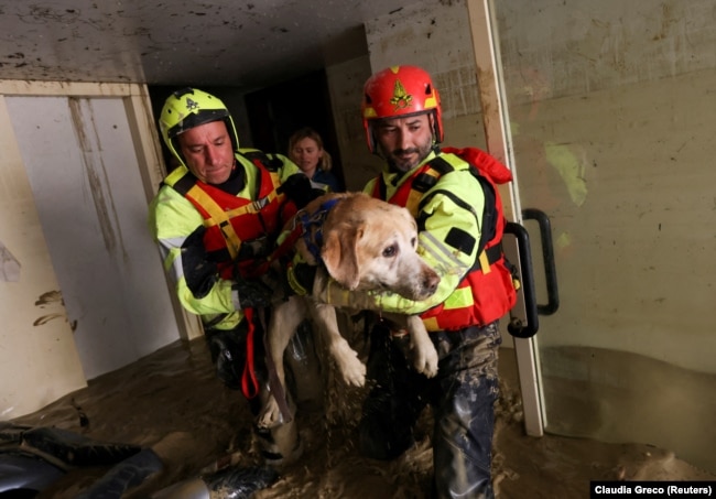 Ekipet e zjarrfikësve duke shpëtuar një qen që gjendej në një shtëpi të përmbytur në Emilia-Romana të Italisë. 18 maj 2023.