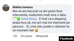 Una dintre artiste a reacționat, cu un comentariu, la știrea despre restilizarea fântânii.