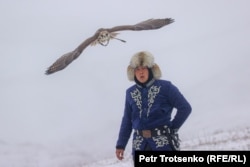 A hunting falcon takes flight under the watchful eye of its owner.