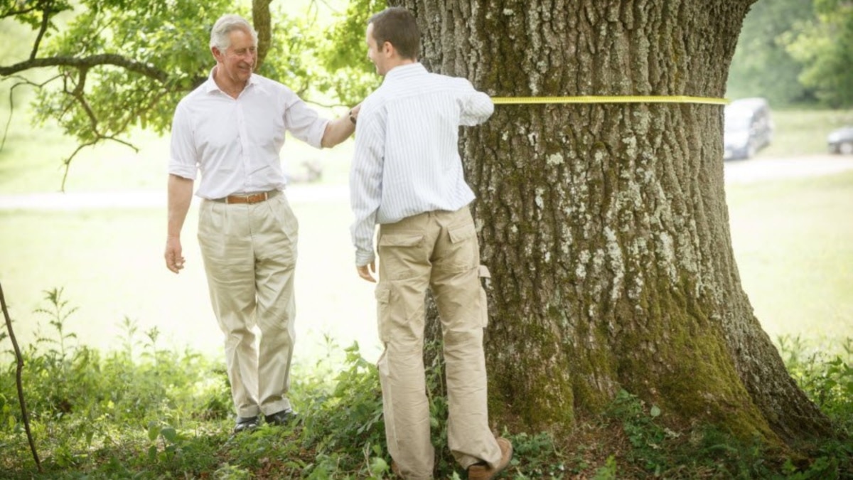 How King Charles Has Helped Preserve Romania's Oldest Trees