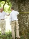 În iunie 2015, regele Charles, pe atunci prinț de Wales, măsura primul copac secular înregistrat pe platforma arboriremarcabili.ro, care a fost inaugurată cu această ocazie. Copacul se află lângă Micșoșoara, în județul Covasna.