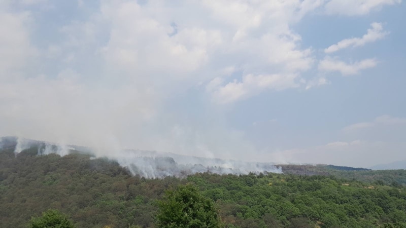 Пожар кај Македонски Брод со крак кон Белица и „Јасен“, гори борова шума

