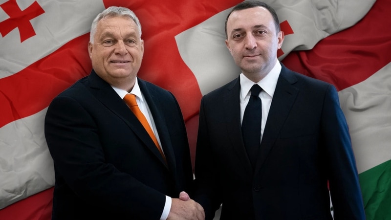 Viktor Orban, principalul lider-problemă al UE, a devenit cel mai înfocat aliat al Georgiei