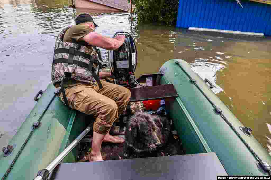 На правобережжі Херсонщини другу добу не припиняються евакуаційні заходи із затоплених районів