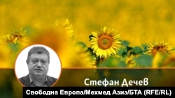 Колаж със снимка на автора Стефан Дечев