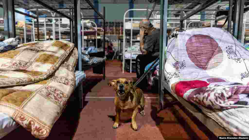 Evakuált házőrző az oroszországi Belgorod egyik sportlétesítményében található ideiglenes szálláson. A tornacsarnok azoknak az orosz&ndash;ukrán határ menti településekről menekült embereknek nyújt menedéket, akiknek otthona lakhatatlanná vált a közelmúlt fegyveres konfliktusaiban