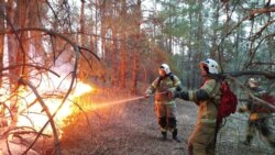 Пожар в Волгоградской области / Фото ГУ МЧС по Волгоградской области
