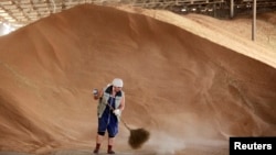 An woman sweeps up grain in a warehouse in the the village of Konstantinovo, near the southern Russian city of Stavropol. (filenphoto)