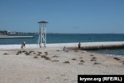 Не до конца убранный от морских водорослей пляж в Феодосии