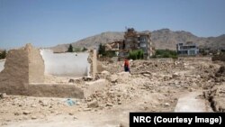 صحنه یی از تخریب خانه های بیجا شده‌گان داخلی در کابل