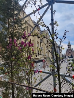 Perspectivă asupra Catedralei mitropolitane în martie 2023 de pe platforma Pepinierei. Plantele înmuguresc deja