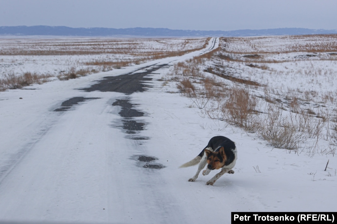 Бір порнода алты