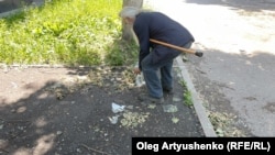 Пожилой мужчина кормит кошек. Шебекино, Белгородская область, Россия, июнь 2023 года