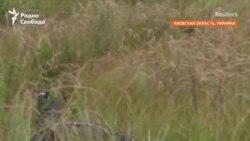 Новое оружие ВСУ 