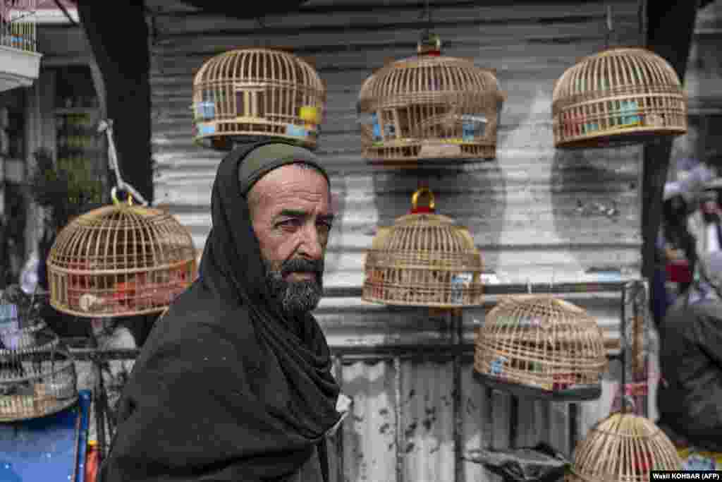 A bird vendor waits for customers at the Koch-e Kafuroshi bird market in Kabul.