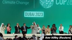 სამიტის პლენარული სხდომა. დუბაი, 13 დეკემბერი, 2023.