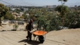 AFGHANISTAN-CONFLICT/WFP
