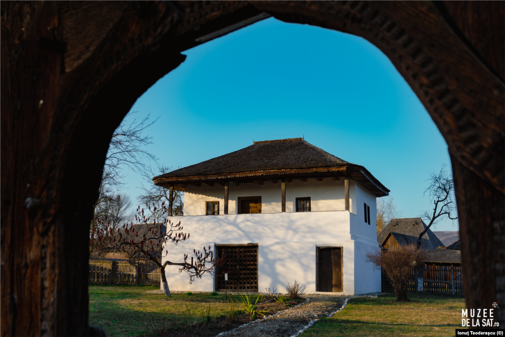 Muzeul Viticulturii și Pomiculturii este amplasat pe o suprafață de 14 hectare și oferă vizitatorului o imagine pitorească despre viața la țară &mdash; atât a boierului, cât și a țăranului. Case, anexe, instituții și construcții specializate din sate românești, specifice perioadei 1800-1900, au fost demontate și remontate la Golești. Aici poate fi explorat turul virtual 3D.