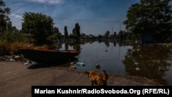 Наразі відомо про одну жертву на Миколаївщині і 5 загиблих на Херсонщині