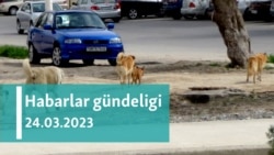 Habarlar gündeligi