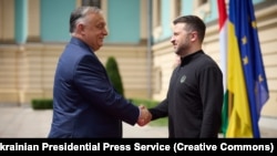 Ukrayna prezidenti Volodimir Zelenski iyulun 2-də Kiyevdə Macarıstanın baş naziri Viktor Orbanla görüşüb