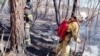 Тушение пожара в природном резервате «Семей орманы». 26 апреля 2024 года. Фото ДЧС Абайской области