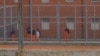 Të burgosurit në oborrin e burgut në Gjilan.