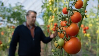 Европейската прокуратура ЕП в София съобщи в сряда че е