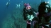 Women's Scuba Diving Community Challenges Surface Assumptions on Sex, Race, Age, VOA