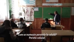 Profesorul care predă cinci discipline și lucrează în construcții