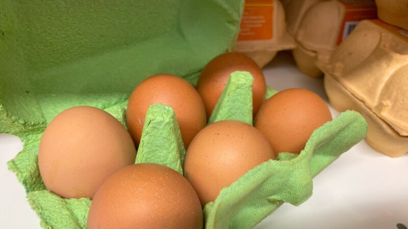 В РФ прибыла первая партия яиц из Турции в количестве 316 тысяч штук
